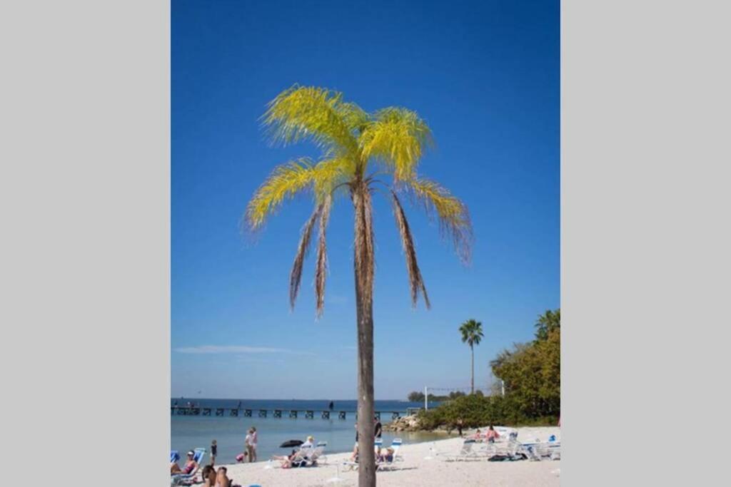 Manatee, Studio202, Beach Steps Away! Pool+Wifi Ruskin Eksteriør billede